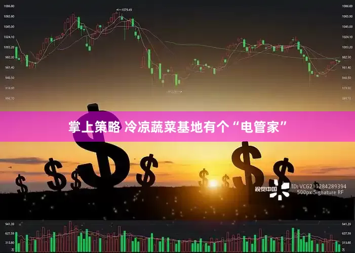 掌上策略 冷凉蔬菜基地有个“电管家”