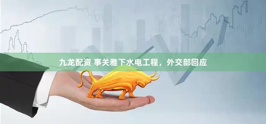 九龙配资 事关雅下水电工程，外交部回应