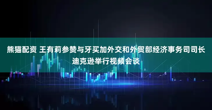 熊猫配资 王有莉参赞与牙买加外交和外贸部经济事务司司长迪克逊举行视频会谈